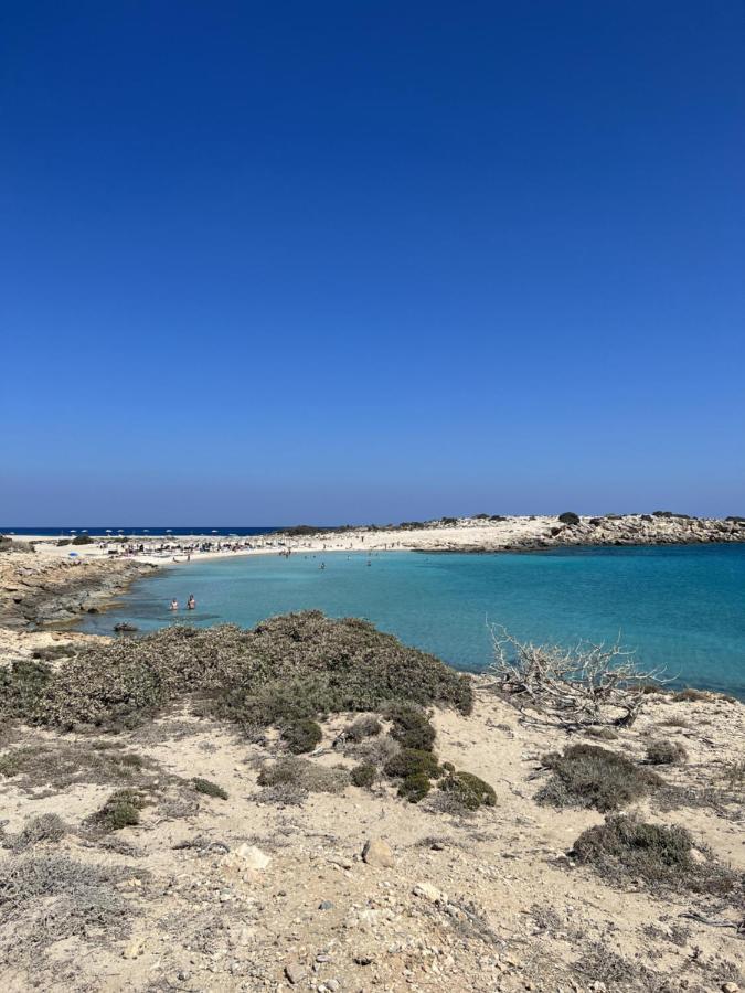 Villa Hellas Afiartis Exteriör bild
